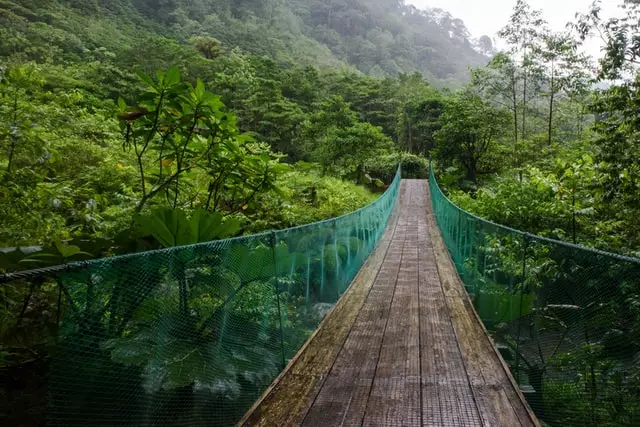 Experience Monterverde Cloud Forest in this Costa Rica itinerary