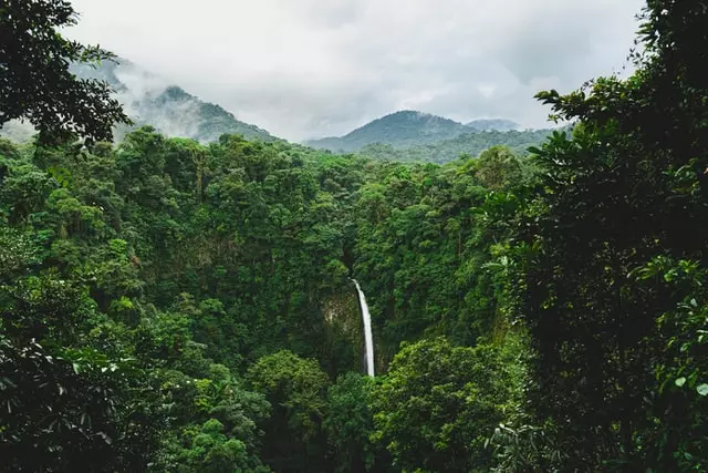 scenic view from Monteverde