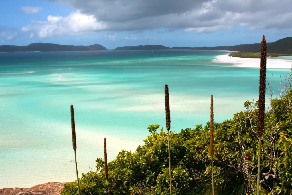 Silky soft sand of Whitehaven Beach