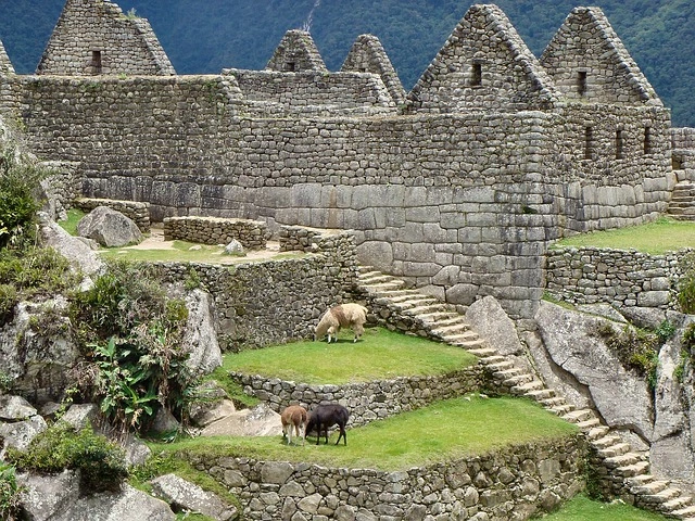 Agricultural Terraces | Machu Picchu Tour