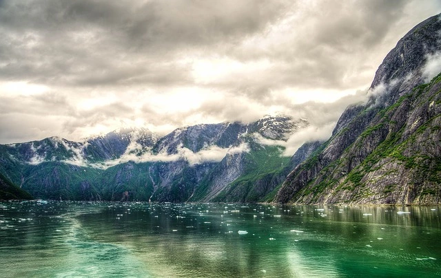 View of the Glacier Tracy Arm