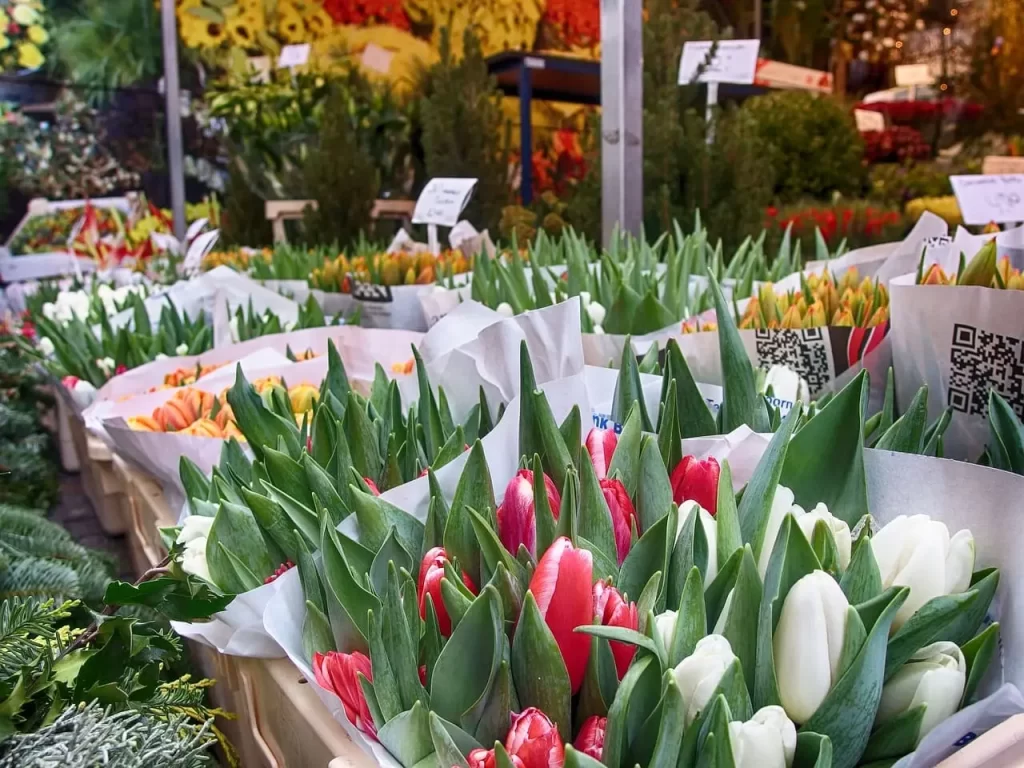 Flower Markets blossomed with tulips