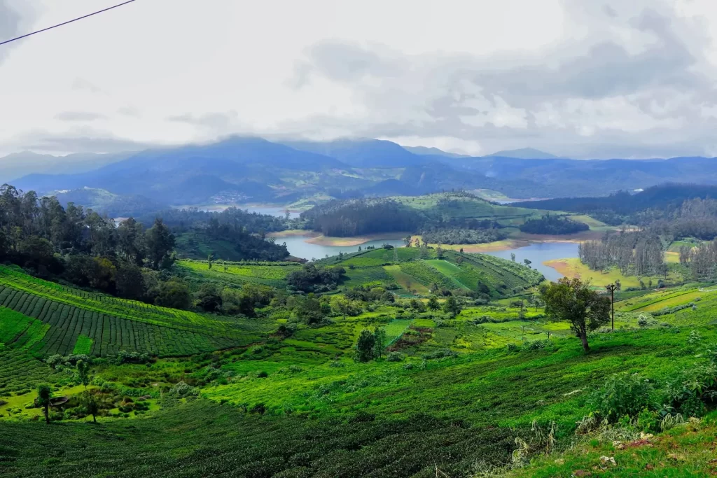 Ooty, Tamil Nadu