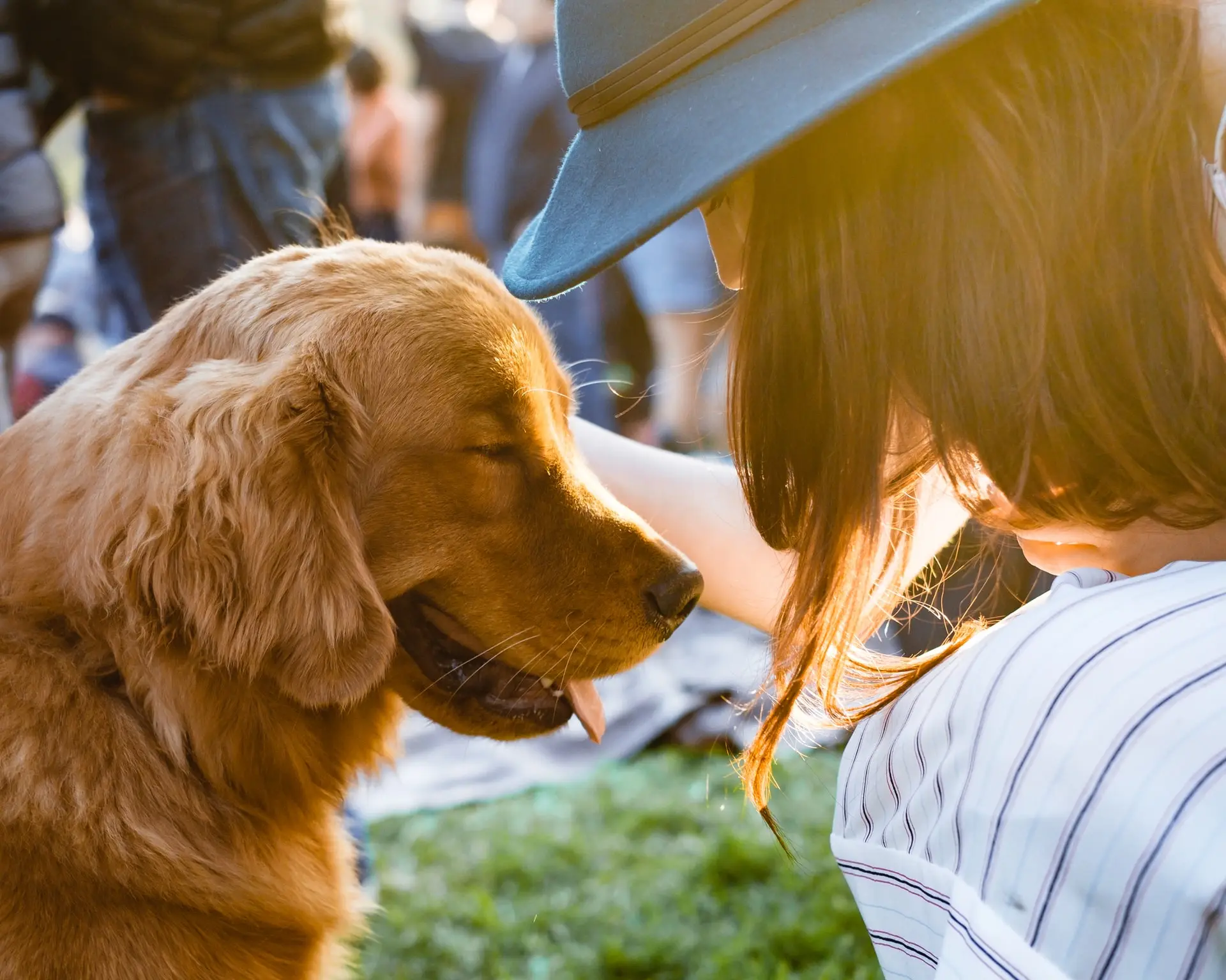 Guide to Pet Friendly Accommodation in the Fleurieu Peninsula
