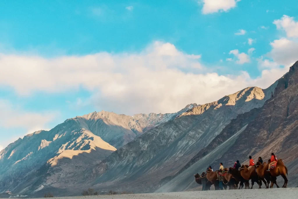 Road Tripping across the Nubra Valley