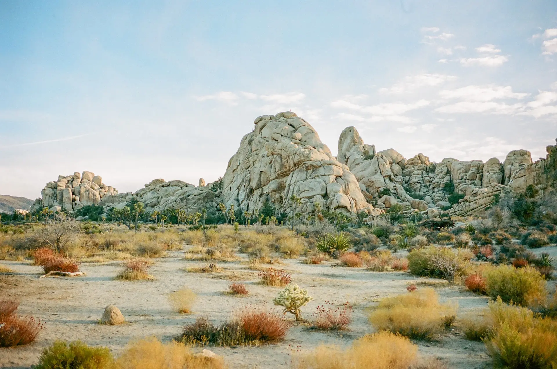 Los Angeles to Joshua Tree Road Trip