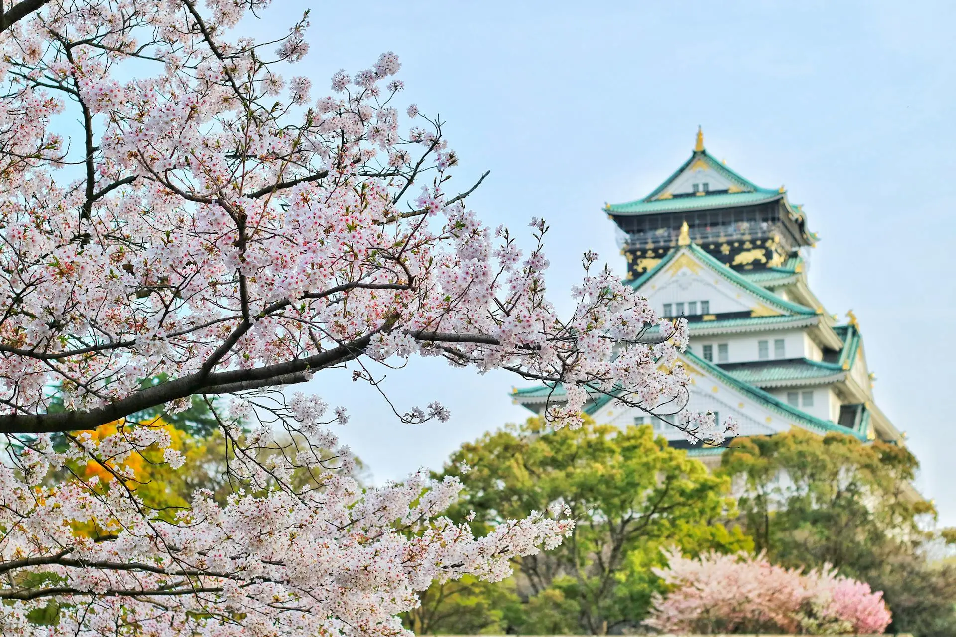 Japan Itinerary 7 Days