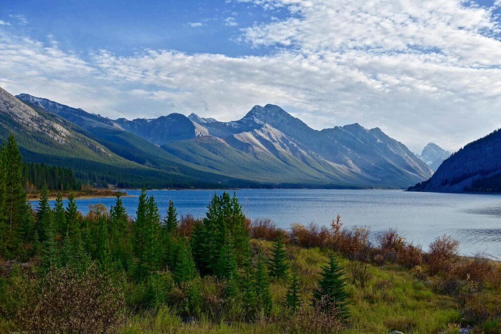 Panoramic View from a viewpoint 